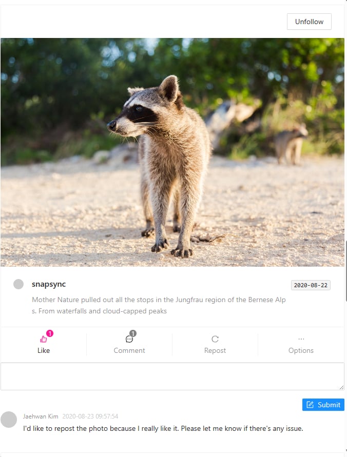 SnapSync - Image Sharing Platform